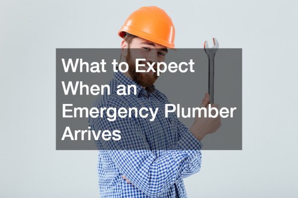 What to Expect When an Emergency Plumber Arrives