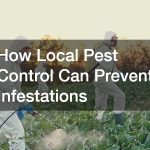 How Local Pest Control Can Prevent Infestations